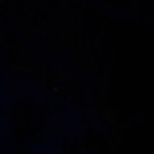 Meet your Posher, Kun